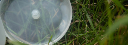 Натуральный шампунь «Лаванда Крымская» Дом Природы