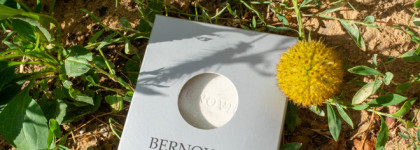 Легкая зеленца с хайлайтером Н-9 от Bernovich