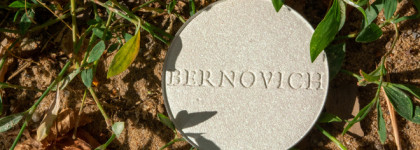 Легкая зеленца с хайлайтером Н-9 от Bernovich