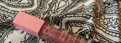 Матовая стойкая жидкая губная помада OK Beauty Color Salute Matt & Stay в оттенке Point - бюджетный аналог Giorgio Armani?