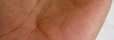 Пустые банки за 4 месяца. Пластиковый хлам/