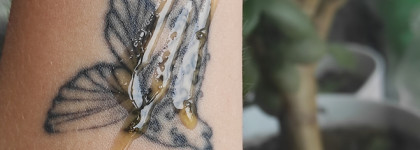 Еще одна рабочая сыворотка от SOME BY MI: проверено на обезвоженной коже с шелушениями