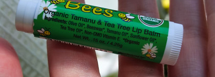 Чайное дерево и мята: чем спасаю свои губы в этот осенний сезон