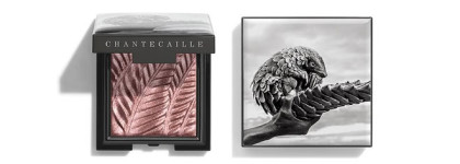 Осенняя коллекция макияжа Chantecaille Makeup Collection Fall 2019