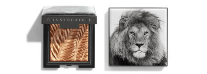 Осенняя коллекция макияжа Chantecaille Makeup Collection Fall 2019