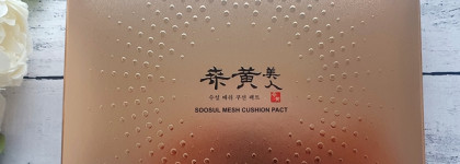 Кушон для фарфорового свечения Soosul Mesh Cushion