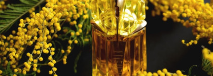 Mugler Alien Sunessence Legere EDT