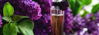 Lancome Tresor Midnight Rose edp
