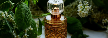Roberto Cavalli Florence Amber edp