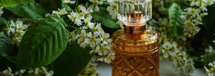Roberto Cavalli Florence Amber edp