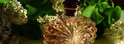 Lalique Soleil edp
