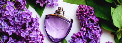 "Призрак" сирени в Bvlgari Omnia Amethyste edt