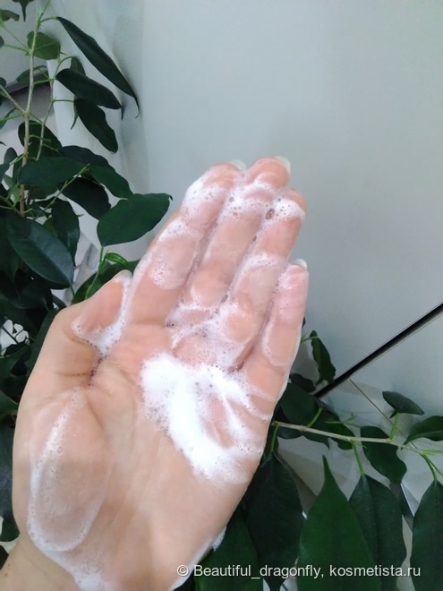 Аж слышно, как чисто! Пенка для умывания Tea Tree от The Saem