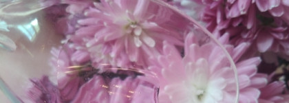 Зачем тонер для сухой кожи необходим обладательнице жирного типа кожи? Увлажняющий тонер BISOU