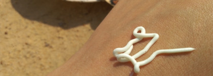 Мой маленький защитник от солнечных лучей этого лета - фотозащитный крем SPF 50 от Aravia