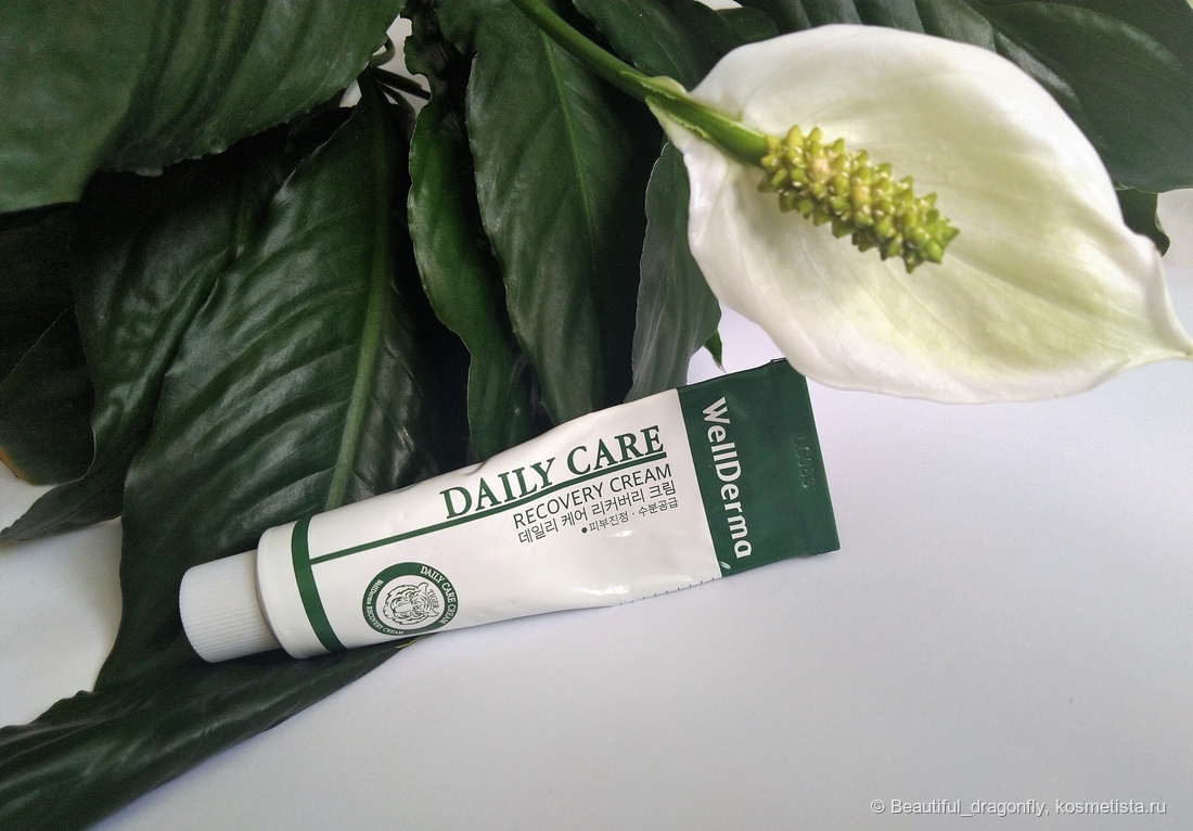 Восстанавливающий крем для чувствительной кожи Daily Care от Well Derma