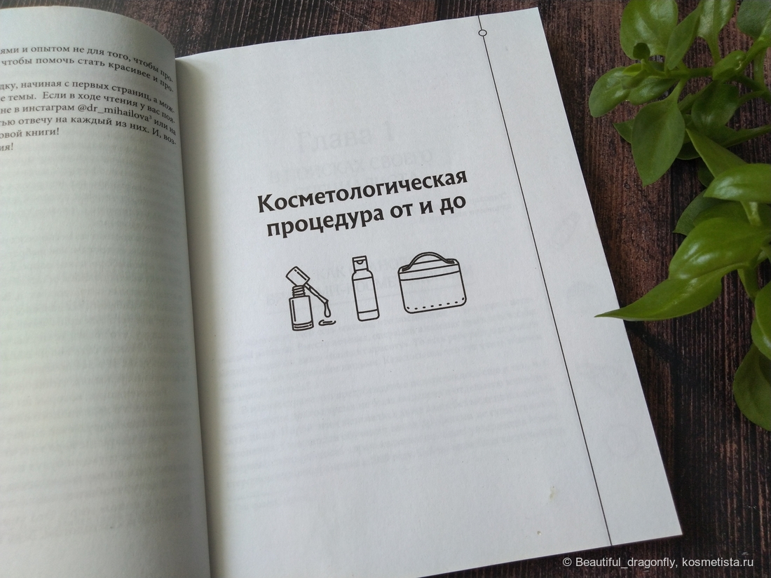 Первый раздел