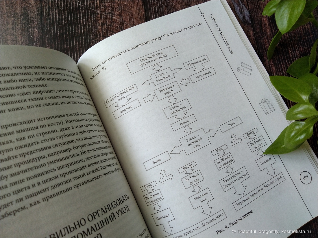 Основные этапы ухода за лицом