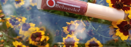 Средство для коррекции объема и контура губ от Belweder в оттенке "Дикий вереск" или просто лучший блеск