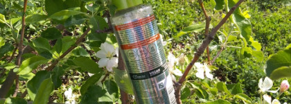 Блистать! Разглаживающий спрей "Сияние и гладкость" Fructis от Garnier