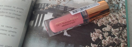 Большое недоразумение или блеск для губ Big Lips gloss от Stellary