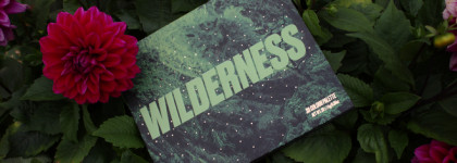 «Дикая» палетка Wilderness 20 Colour Palette от Beauty Bay