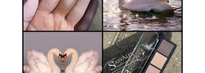 Долгожданные новинки от бренда StasyAlex