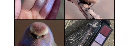 Долгожданные новинки от бренда StasyAlex