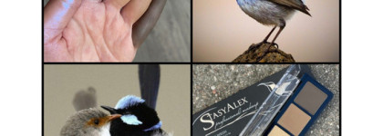 Долгожданные новинки от бренда StasyAlex