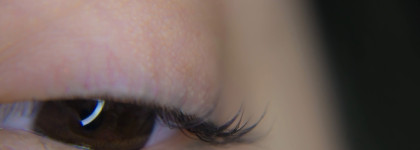 В поисках идеальной тиловой туши