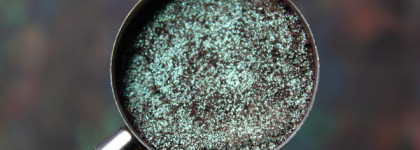 Очередной оттенок «спинки жука»: Shimmer Punk P85 от Inglot