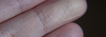 E03 Eagle Smoke by StasyAlex. Палетка одного макияжа…