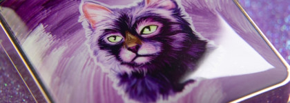 Tipsy Kitty Eyeshadow Quad 08# Destiny Guardian by Zeesea