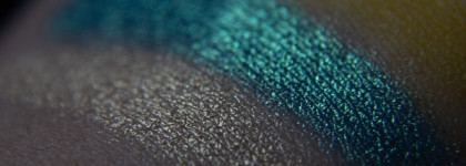 E26 Sunny Bee Eater by StasyAlex