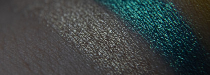 E26 Sunny Bee Eater by StasyAlex