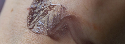 Блеск для губ Vivienne Sabo Arcane du destin в 02 оттенке