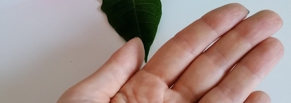 Шампунь и кондиционер от Angel Professional - мои любимцы для окрашенных волос