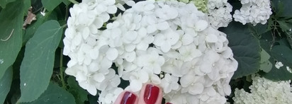 Aston Martin на ногтях: Essie nail lacquer  Bordeaux в главной роли