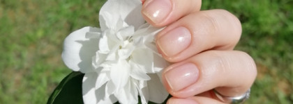 Красивое лечебное средство Berenice Pure gold hardener