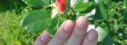 Два нюда от Anny: Nude и Like a virgin