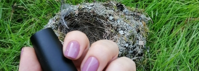 На грани нюда или нюд или не нюд. Kinetics Solar Gel Naked truth