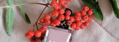 Любимый нюд от марки - Anny Nail Polish Welcome aboard