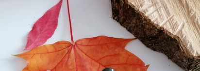 Оливковый, но уместный Catrice My heart beets green right now