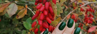 Как я сочетаю лаки с одеждой, много фото и краткая история одного лакоманьячества