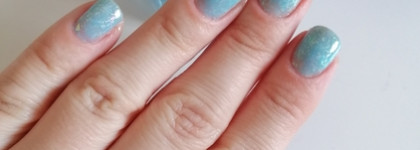 Летний красавец Tips nail polish Chicory