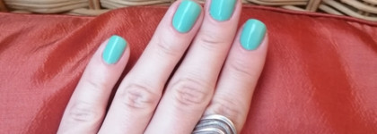 Летний, красивый, слегка прохладный Муха Nailor Nail Polish