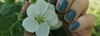 Многогранный и очень красивый Nailor Nail polish Репин