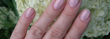 Лак, из которого я не хочу вылезать. Anny Nail Polish Marry me