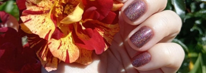 История изменений одной коллекции лаков за год и 3 месяца