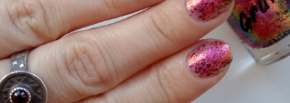 Очень милая рептилия, шкурка которой "горит". Grattol Iguana